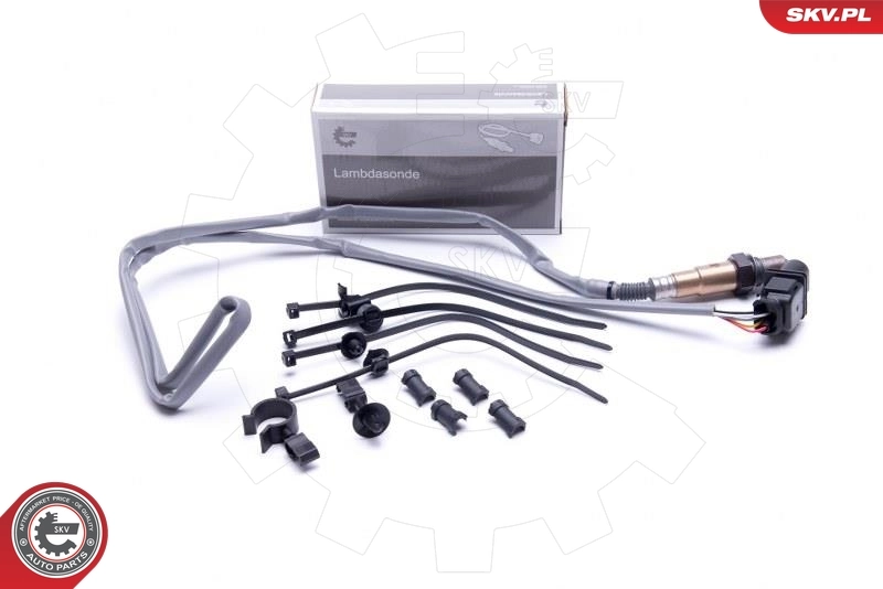 Oxygen Sensor
